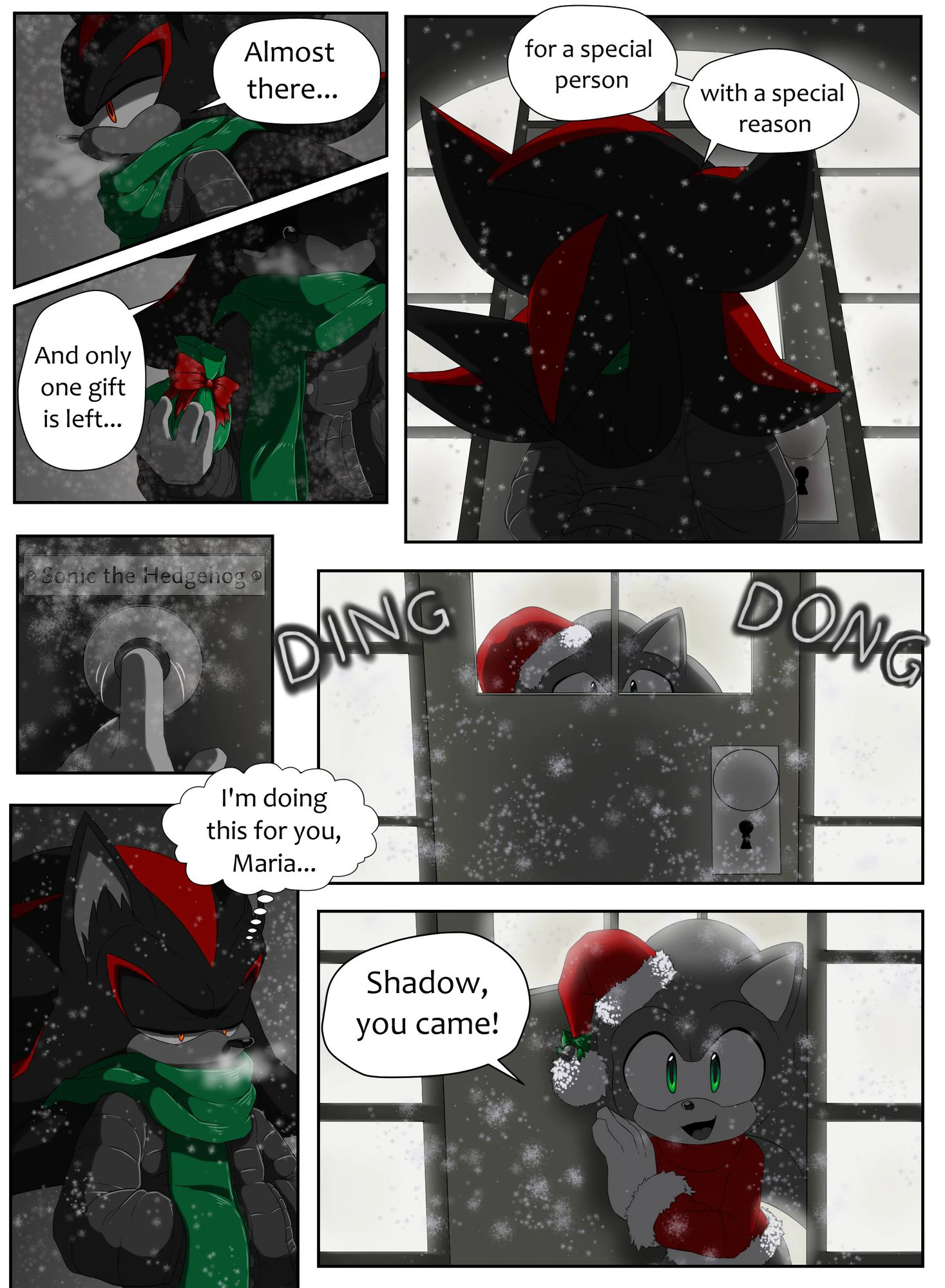 Twelve Pages of Sonadow cover