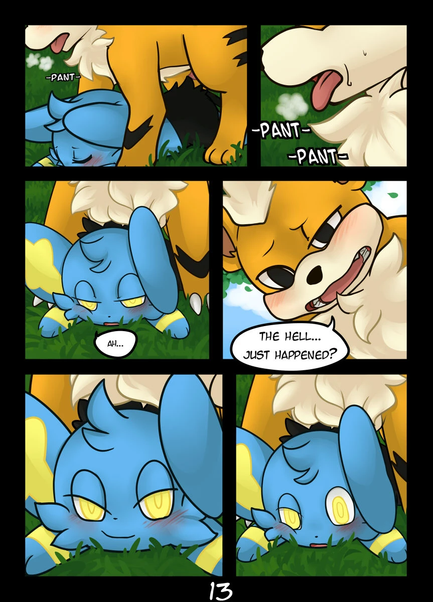 Catch Me if You Can — page 13