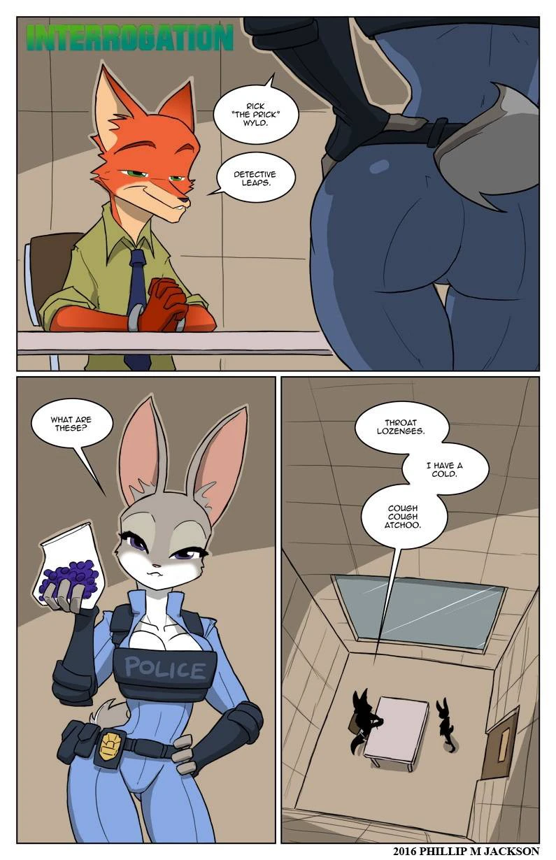 Interrogation cover