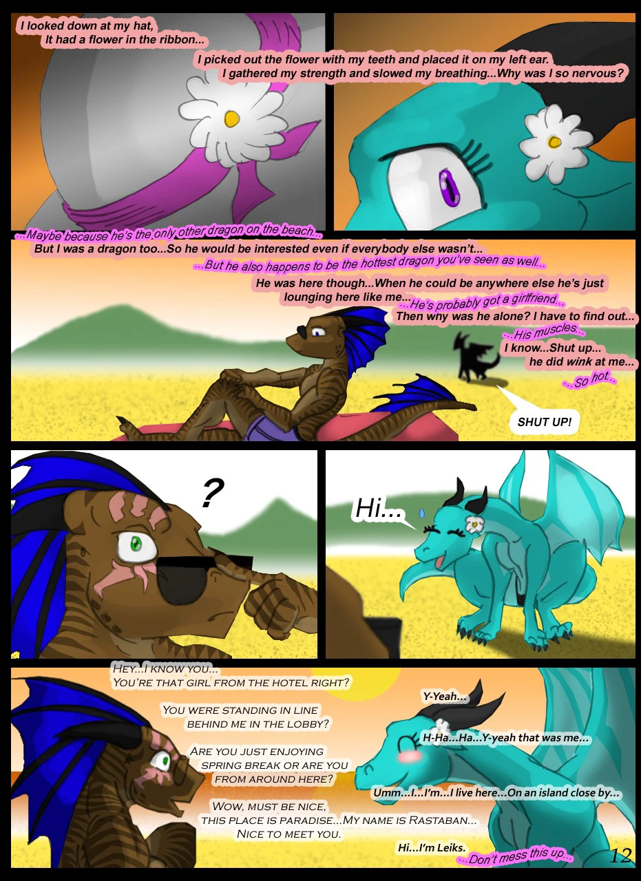 Never Miss a Sunrise — page 12