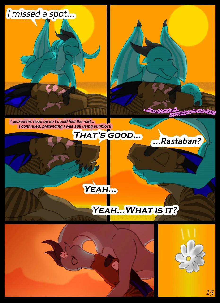 Never Miss a Sunrise — page 15
