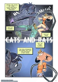 Cats and Rats