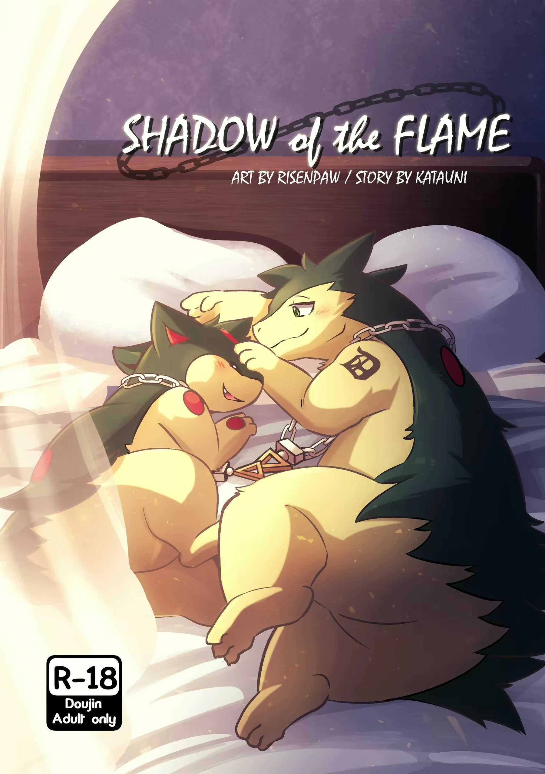Shadow of the Flame cover