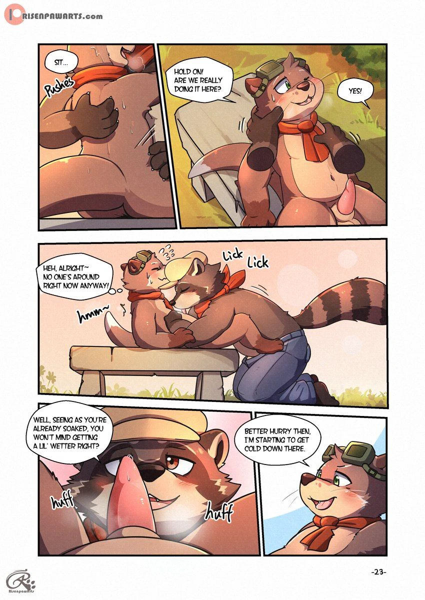 White Stone Inn - 1 — page 17