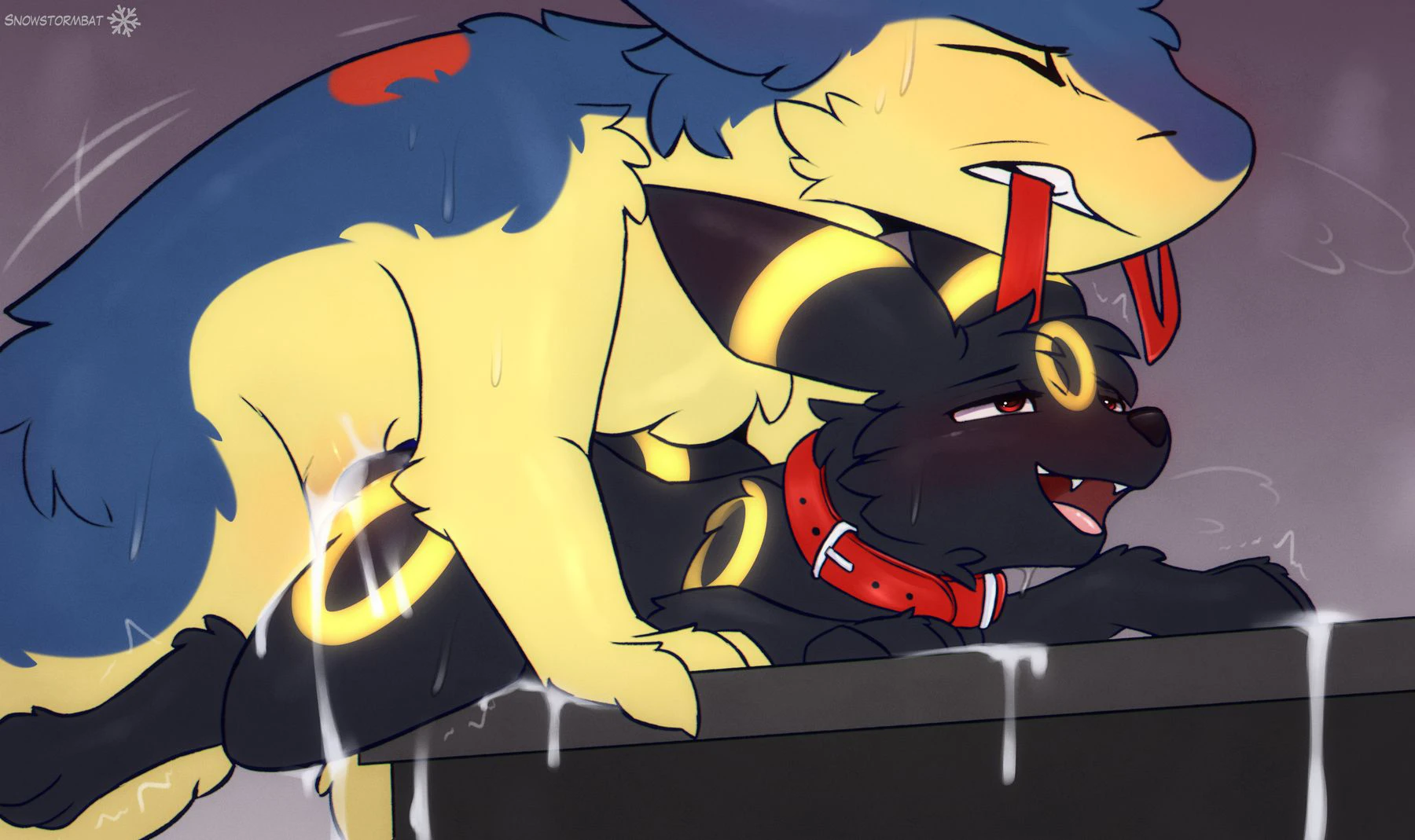 Umbreon and Typhlosion — page 8
