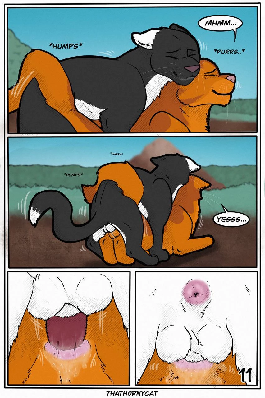 Talltail x Jake — page 13