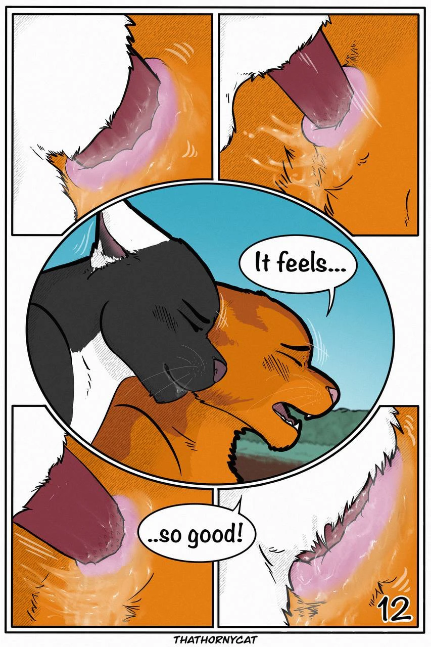 Talltail x Jake — page 14