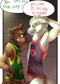 NO HOMO
