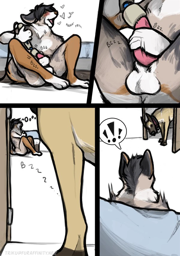 New Dog in Town — page 1