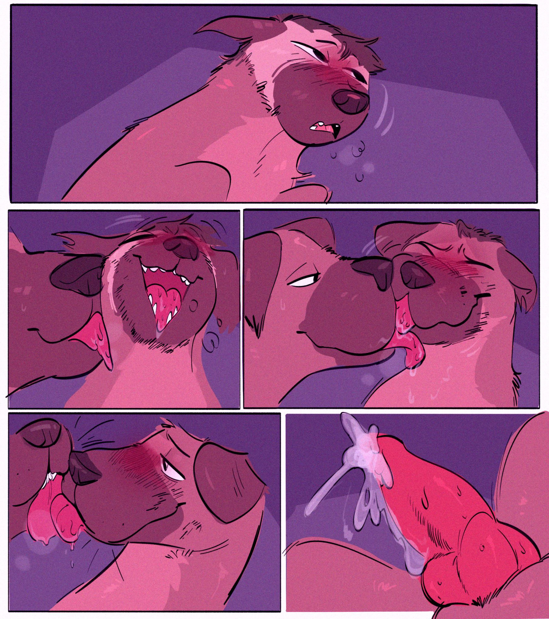 The Dog in the Bush — page 8