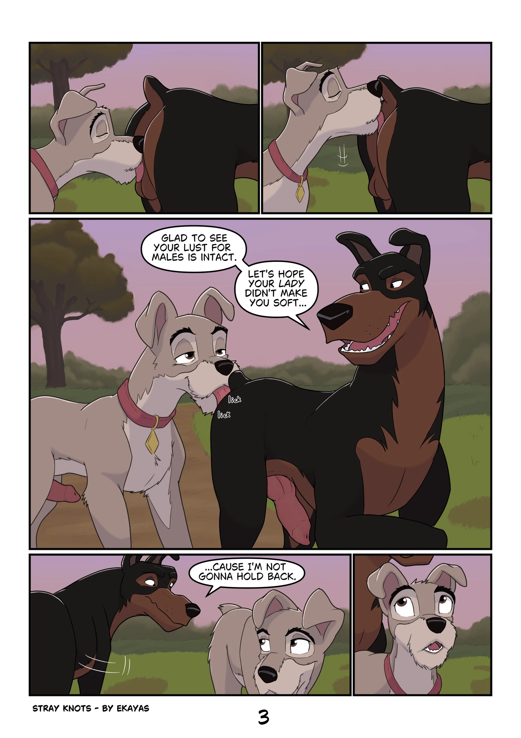 Stray Knots — page 2