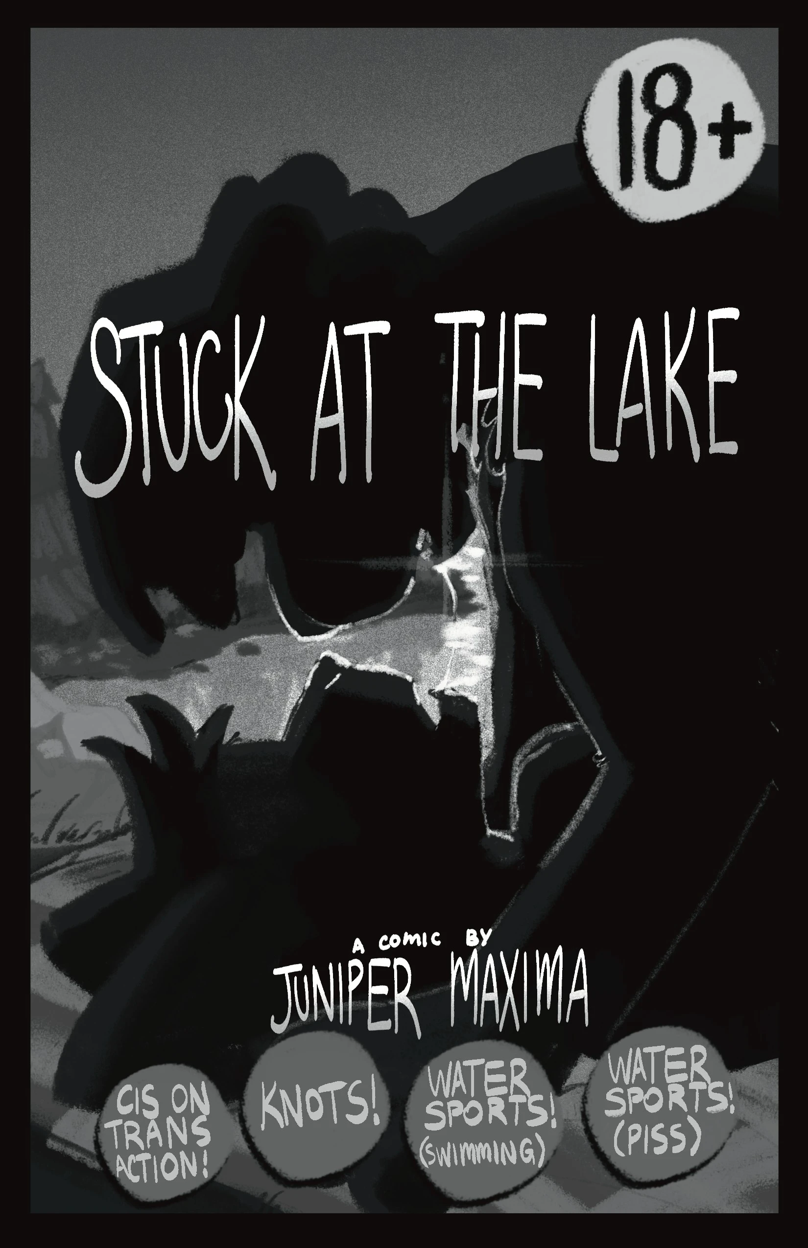 Stuck at the Lake cover