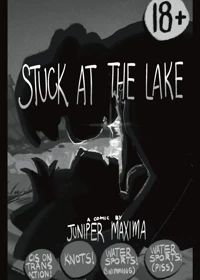 Stuck at the Lake