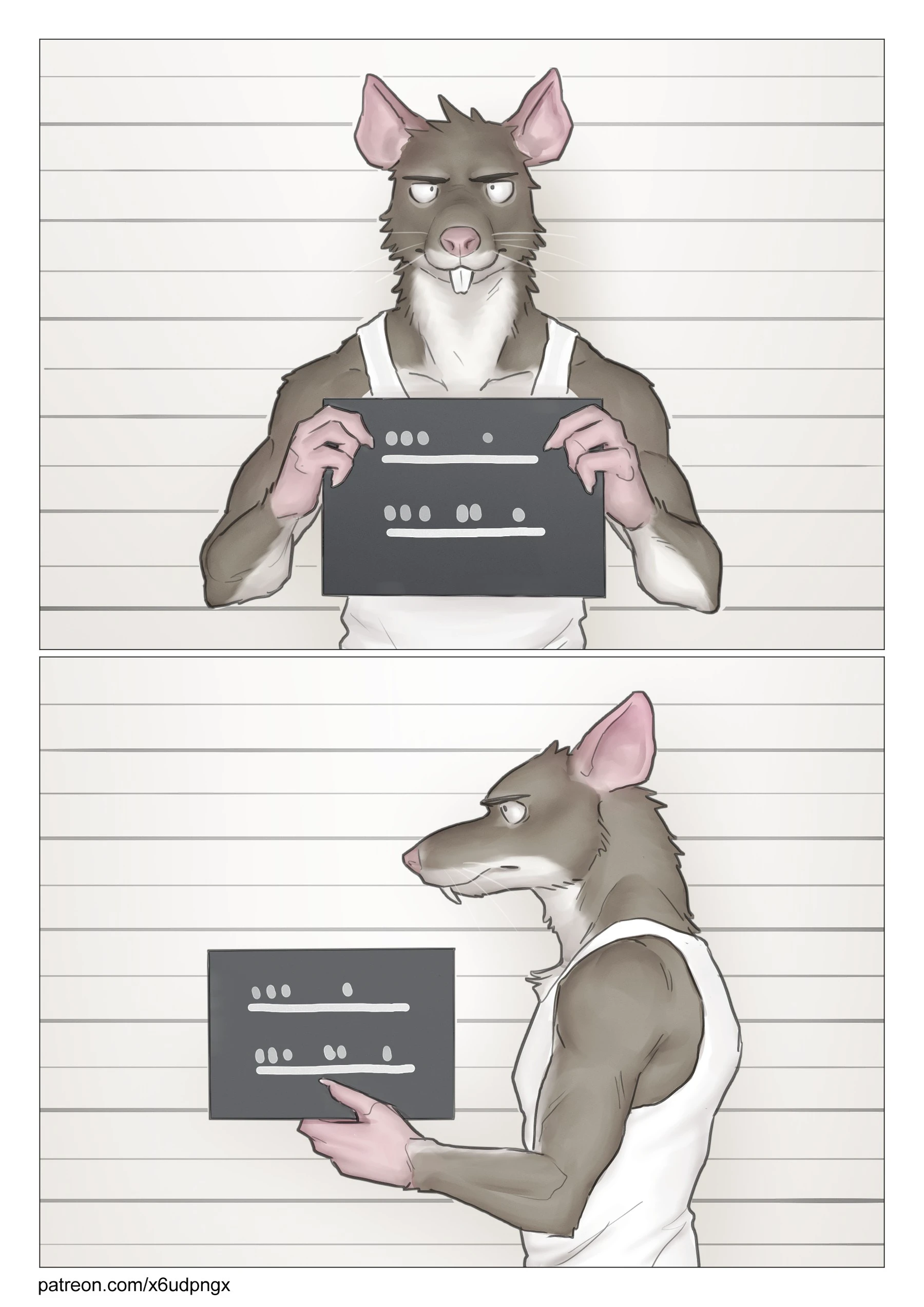 Strip Search cover