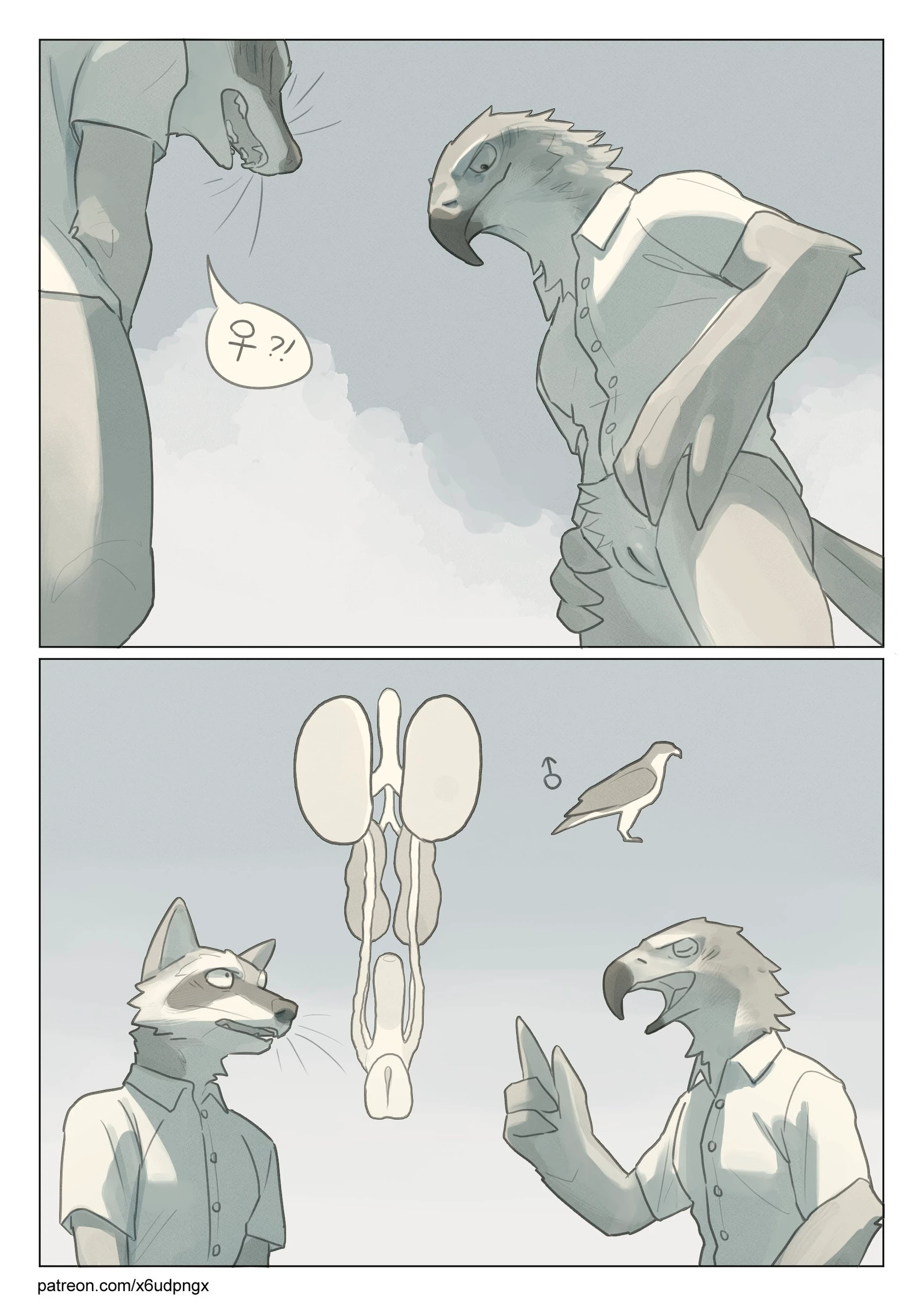 Teaching Model — page 11