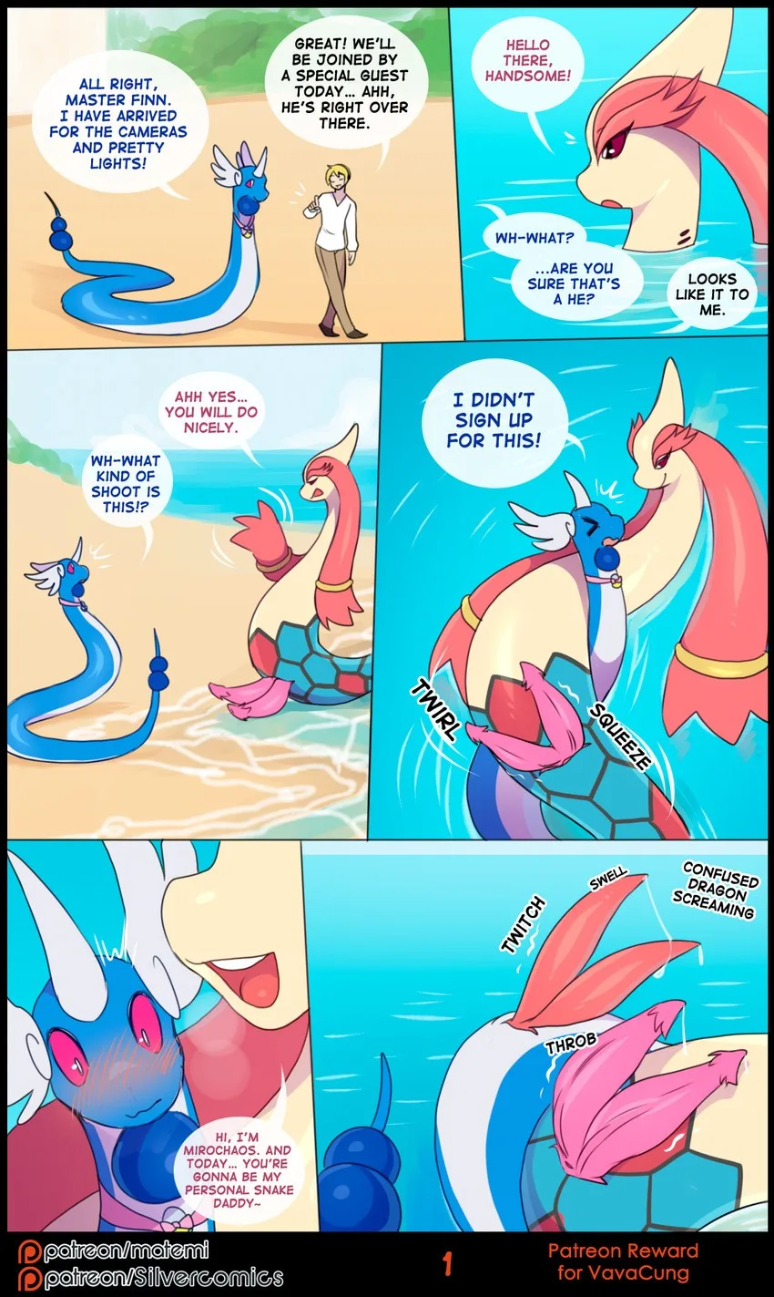 Milotic and Dragonair cover