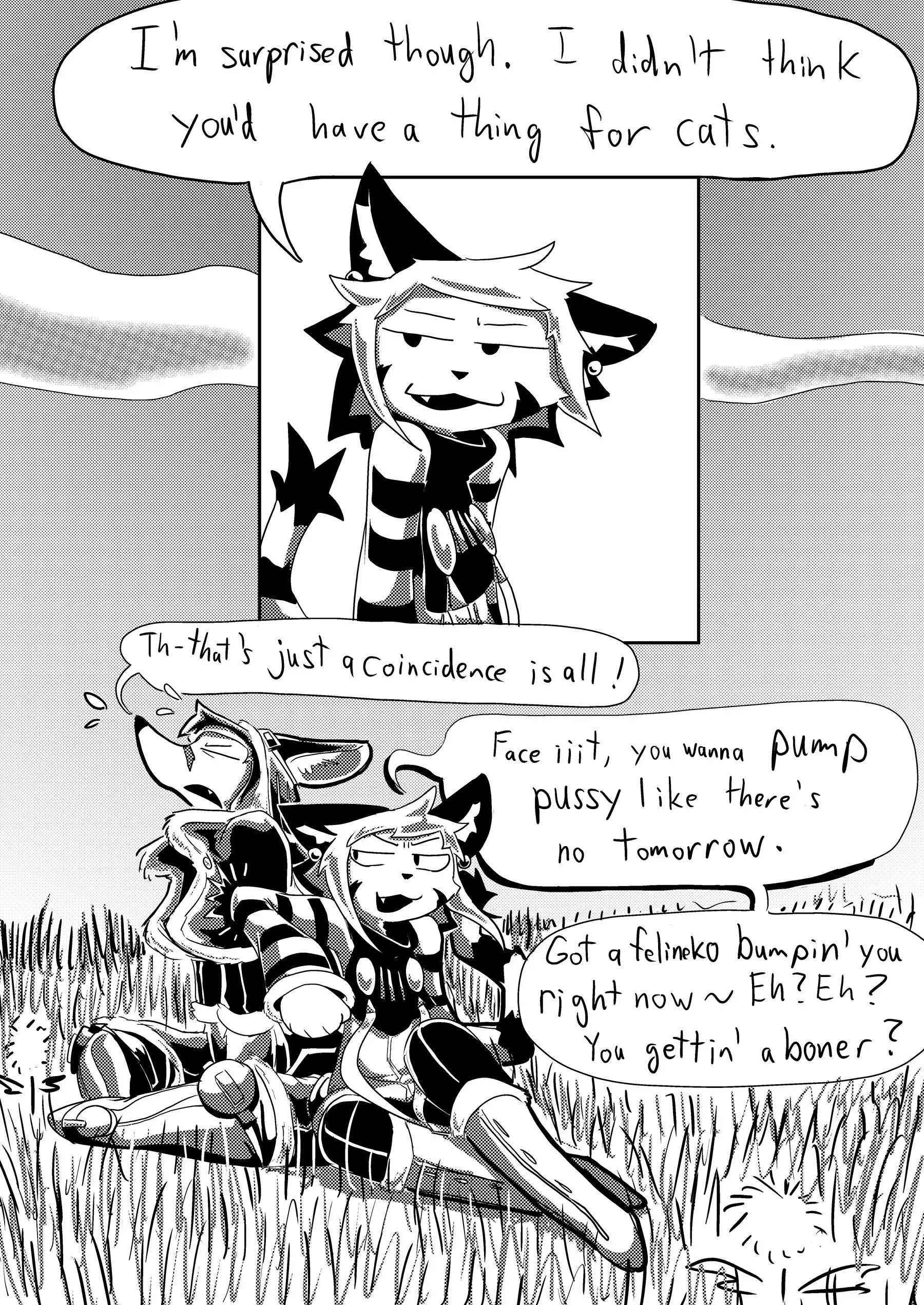 Nom D'un Chien — page 14