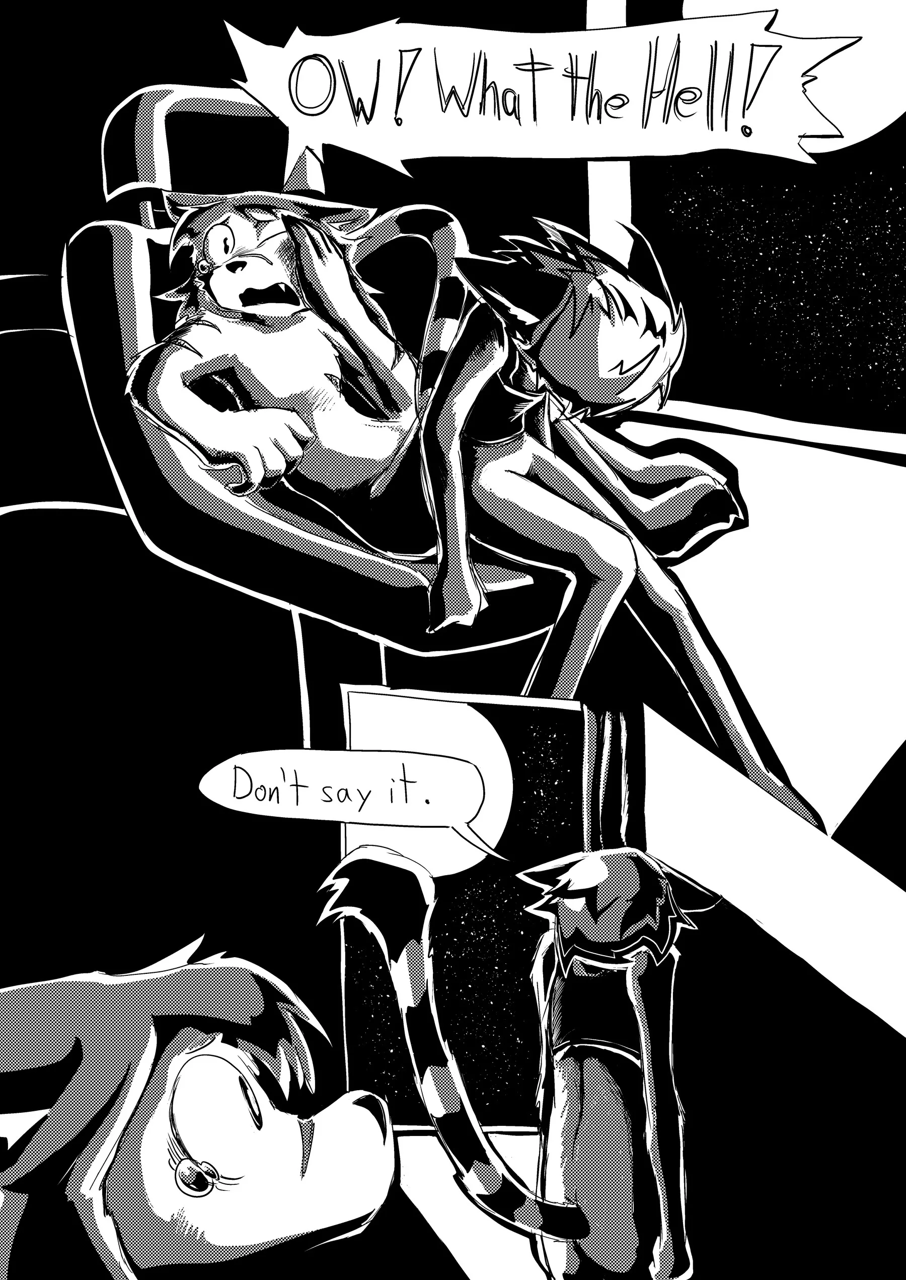Nom D'un Chien — page 47